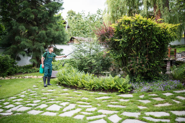 Best Soil Testing and Treatment  in Somonauk, IL