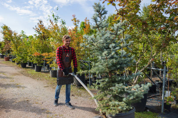 Best Hedge Trimming  in Somonauk, IL
